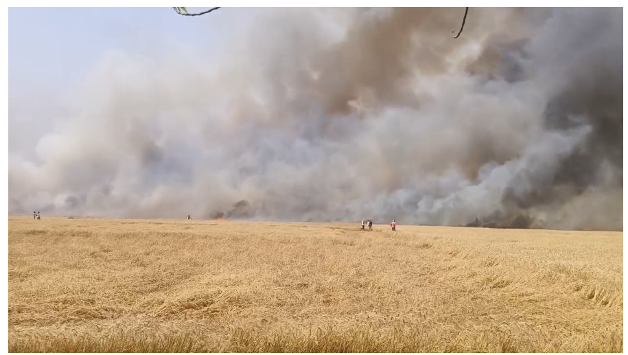 gaya mai bhishan agnikand 