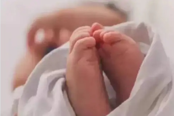 insaniyat sarmsaar