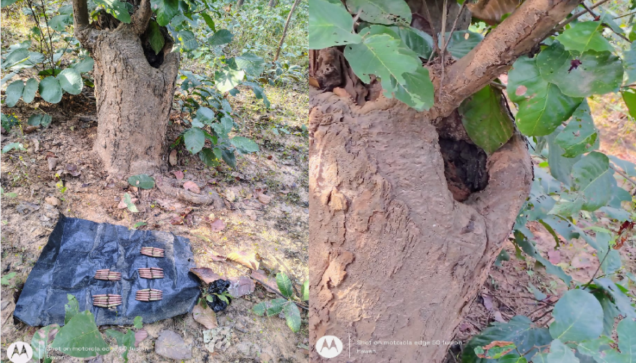 Jamui police achieve major success; AK-47 rifle and 49 live cartridges recovered.