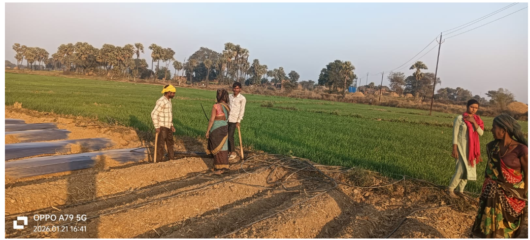 rohtas ke kisano ne kar dikhaya kamaal