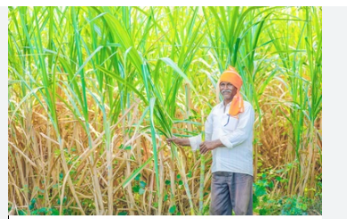 bihar sarkar ne kisanon ke liye khola khajana