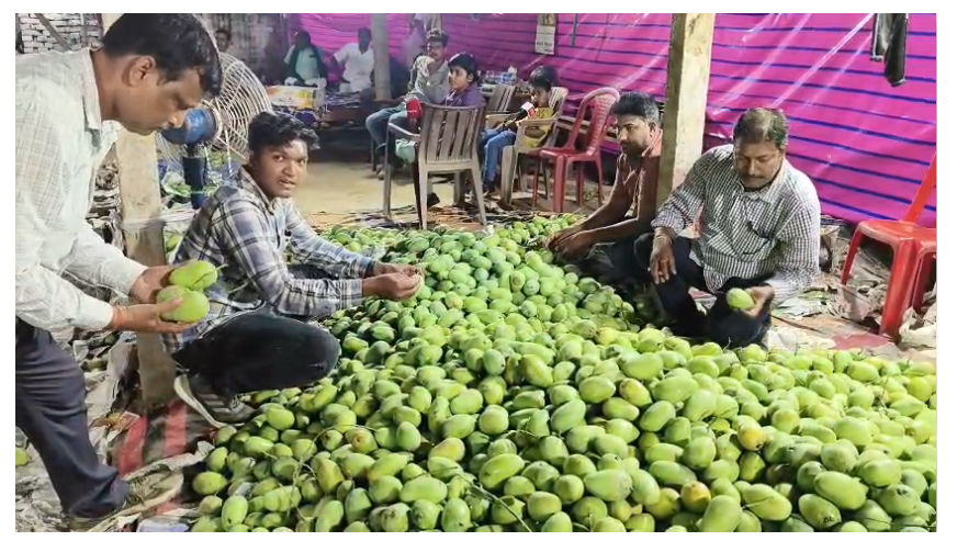 bihar news 
