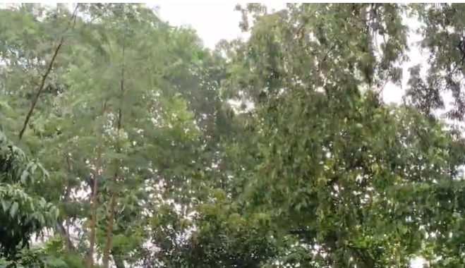 ranchi