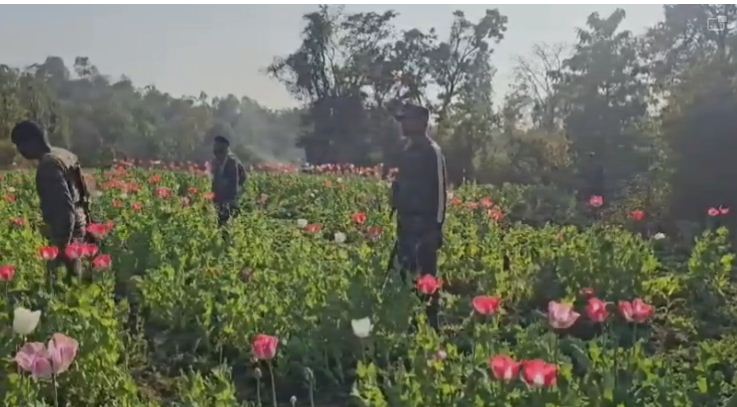 nase k saudagaron par sikanja