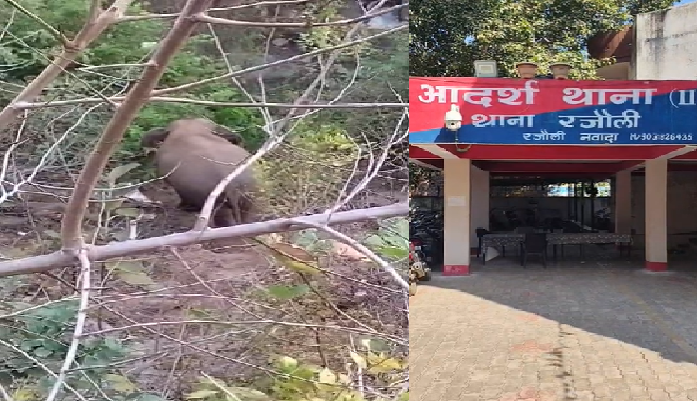 Doors and walls of houses damaged